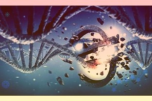 莱特光电终端材料毛利率达79.96%研发创新驱动高质量发展